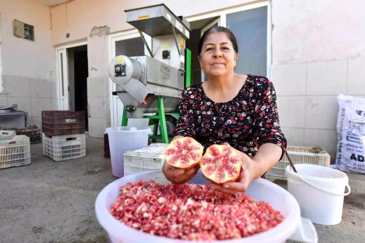 Mersin’de Üreticilere Nar Taneleme Makinesi Desteği